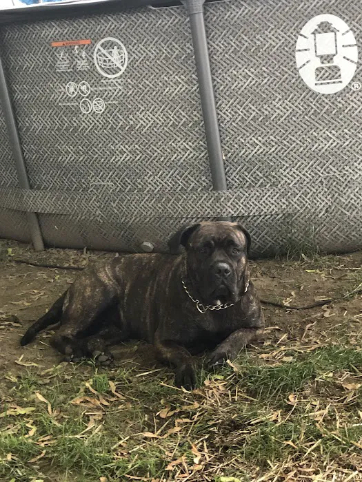 Banfield Pet Hospital 12