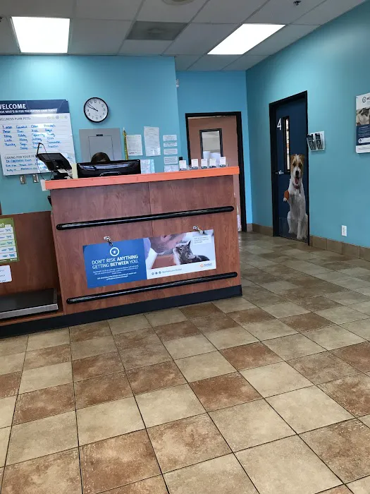 Banfield Pet Hospital 12