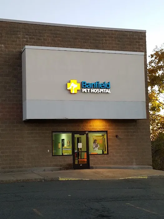 Banfield Pet Hospital 12