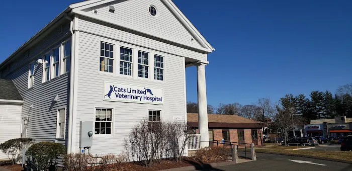 Cats Limited Veterinary Hospital 12