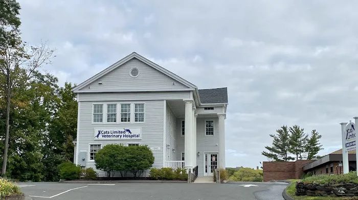 Cats Limited Veterinary Hospital 12