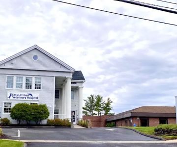Cats Limited Veterinary Hospital