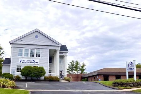 Cats Limited Veterinary Hospital