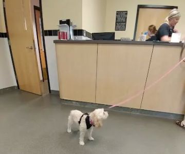 Fox Memorial Clinic