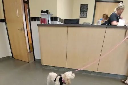 Fox Memorial Clinic