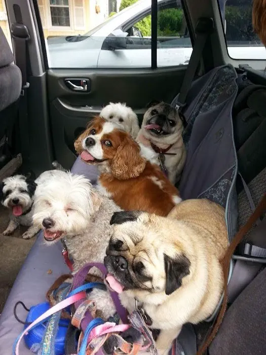 Newington Veterinary Clinic 12