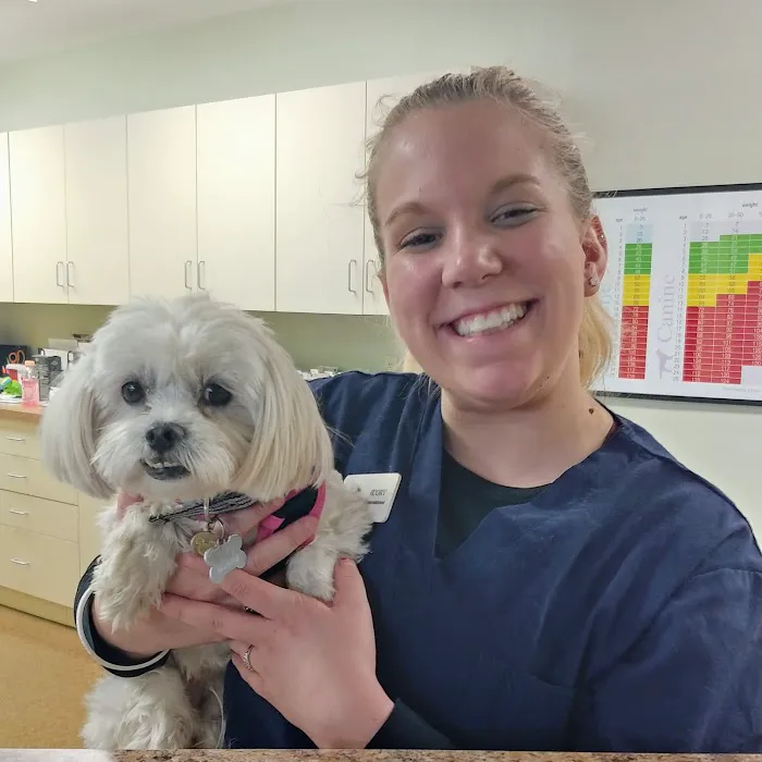 Newington Veterinary Clinic 12
