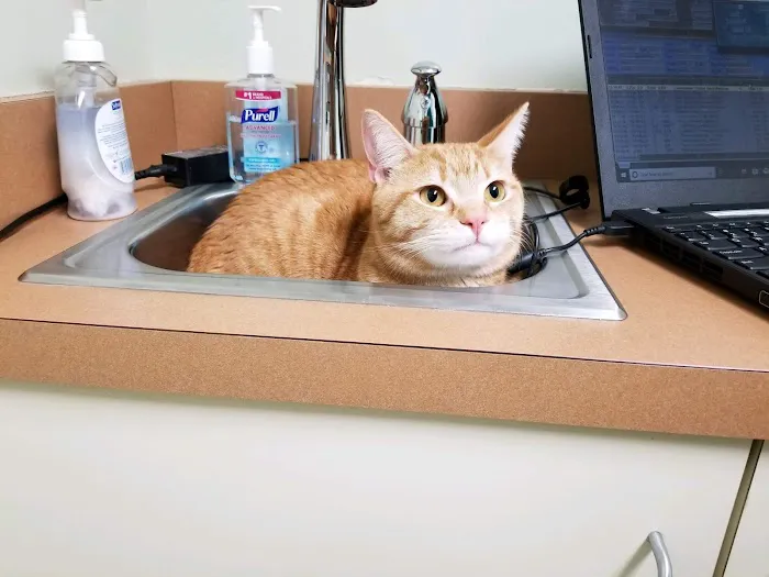 Newington Veterinary Clinic 12