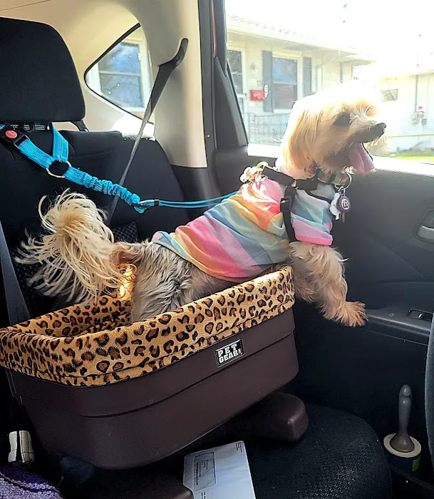 Newington Veterinary Clinic 12