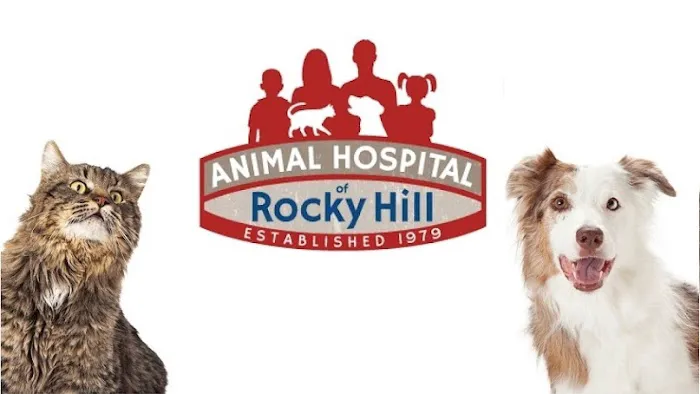 Animal Hospital of Rocky Hill 12