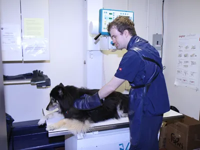 Animal Hospital of Rocky Hill 12
