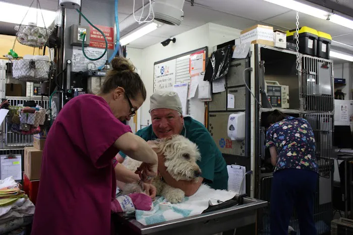 Connecticut Veterinary Center 12