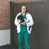 Connecticut Veterinary Center ico