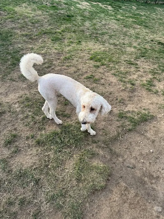 Connecticut Veterinary Center 12