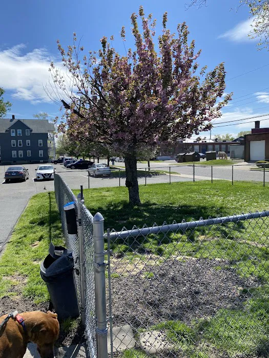 Connecticut Veterinary Center 12