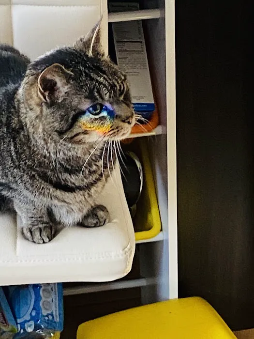 Petcare Veterinary Services 5
