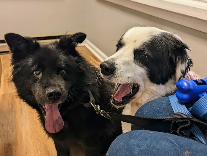 Petcare Veterinary Services 1