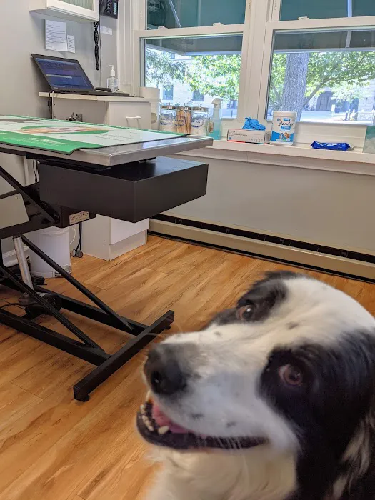 Petcare Veterinary Services 3