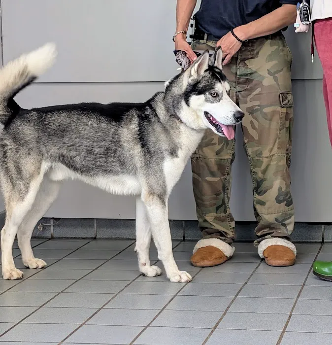 Pieper Veterinary Berlin Street 12