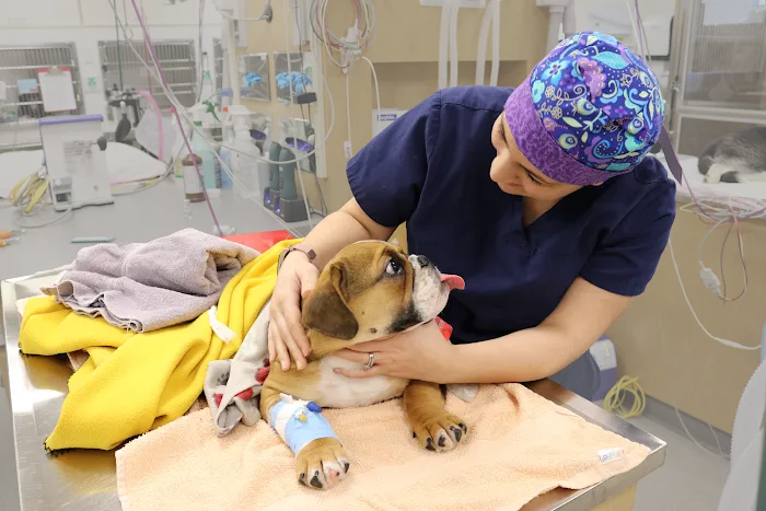 Pieper Memorial Veterinary Center 12