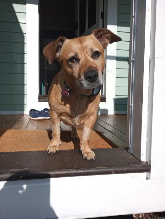 Pieper Memorial Veterinary Center 12
