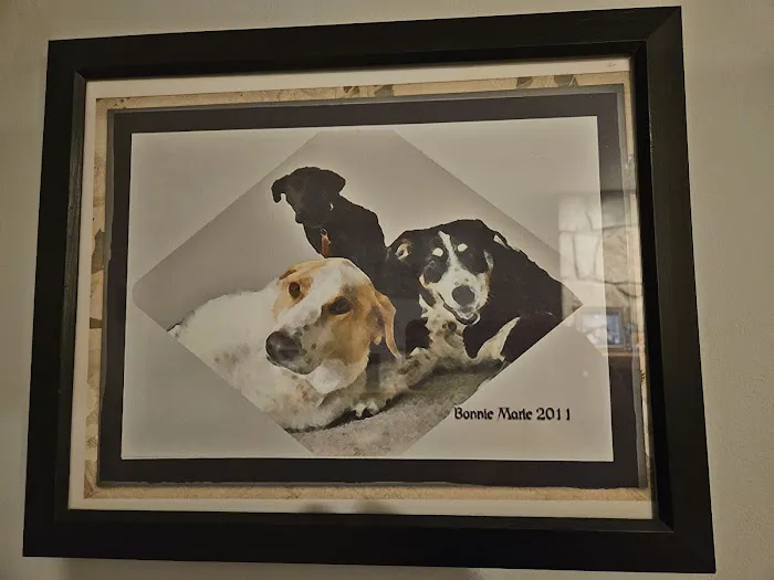Pieper-Olson Veterinary Hospital 3