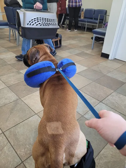 Pieper-Olson Veterinary Hospital 10
