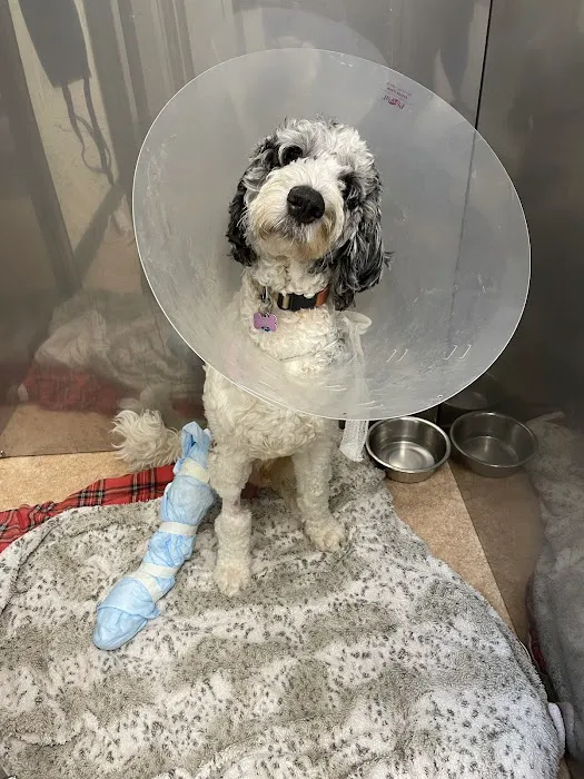 Pieper-Olson Veterinary Hospital 6