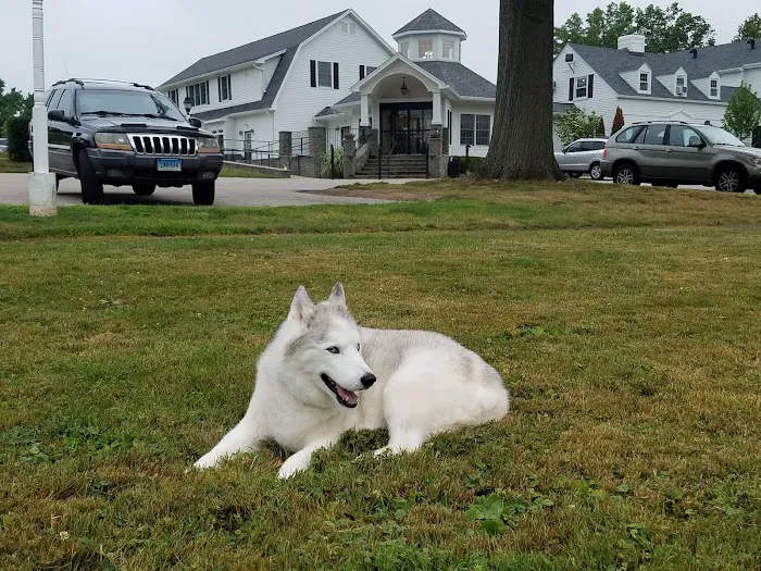 Pieper-Olson Veterinary Hospital 9