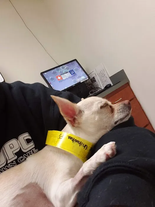 Pieper-Olson Veterinary Hospital 7