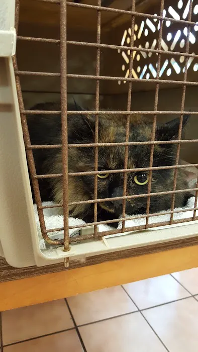VCA Cromwell Animal Hospital 12