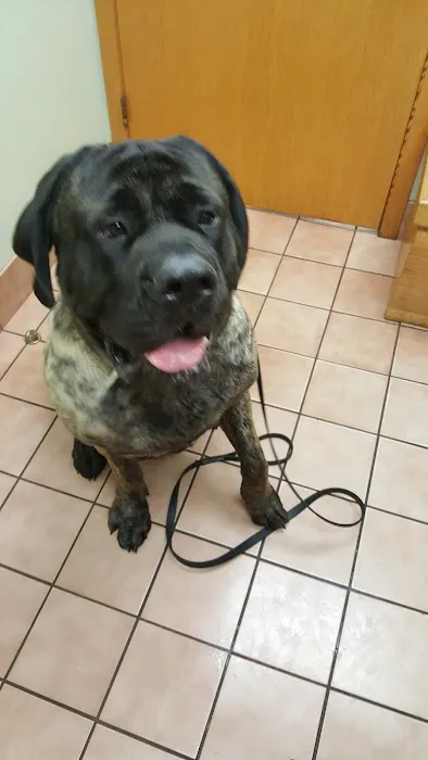VCA Cromwell Animal Hospital 12