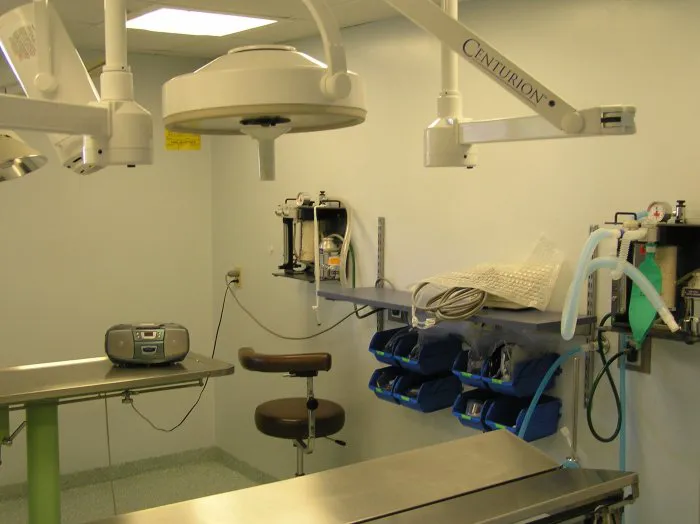 VCA Cromwell Animal Hospital 12