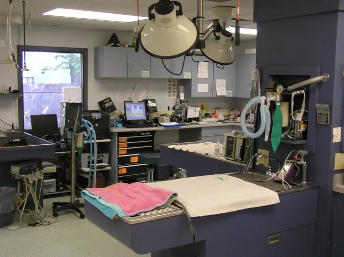 VCA Cromwell Animal Hospital 12