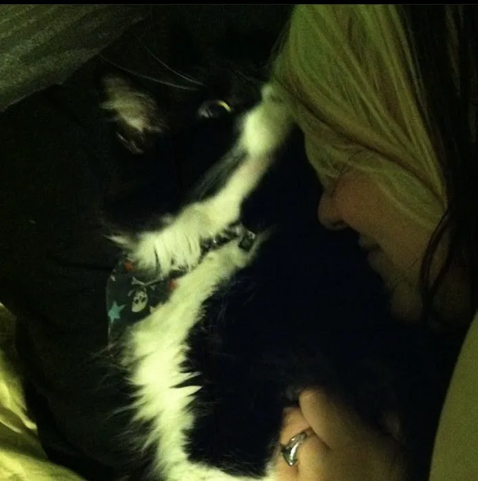 Lakes Veterinary Services 12
