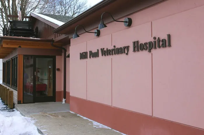 Mill Pond Veterinary Hospital 12