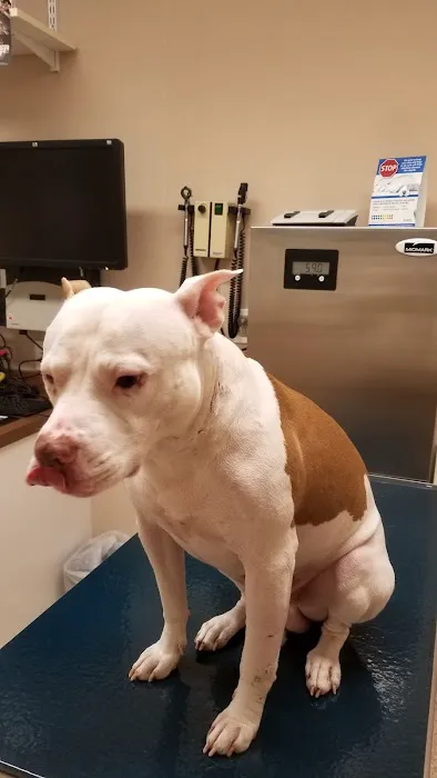Mill Pond Veterinary Hospital 12