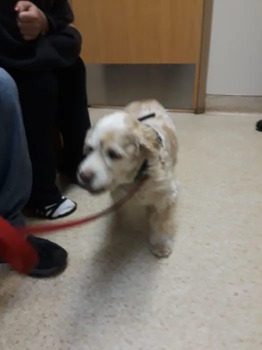 Mill Pond Veterinary Hospital 12