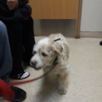 Mill Pond Veterinary Hospital ico