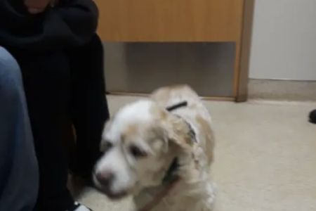 Mill Pond Veterinary Hospital