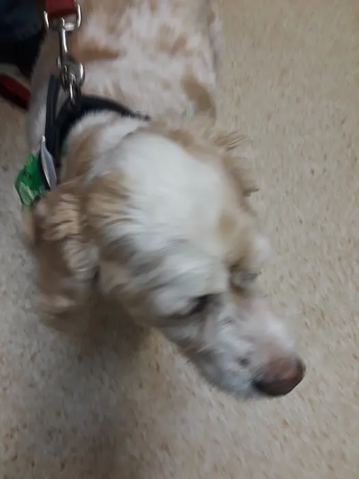 Mill Pond Veterinary Hospital 12