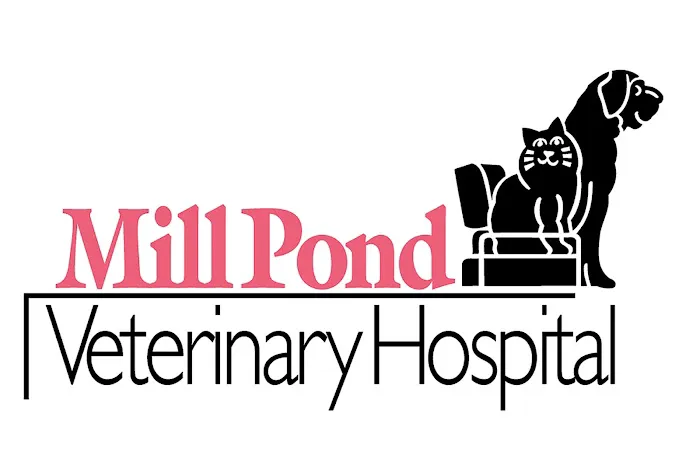 Mill Pond Veterinary Hospital: Brian Lang DVM 2