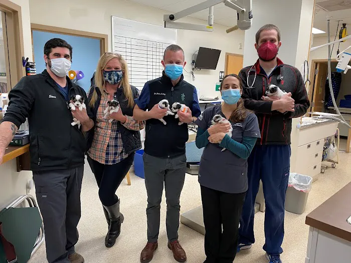 Mill Pond Veterinary Hospital: Brian Lang DVM 1