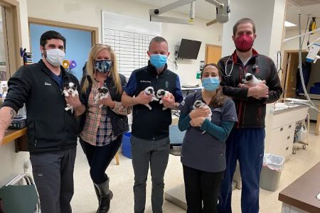Mill Pond Veterinary Hospital: Brian Lang DVM