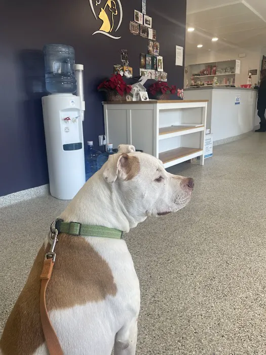 Veterinary Associates of North Branford 12