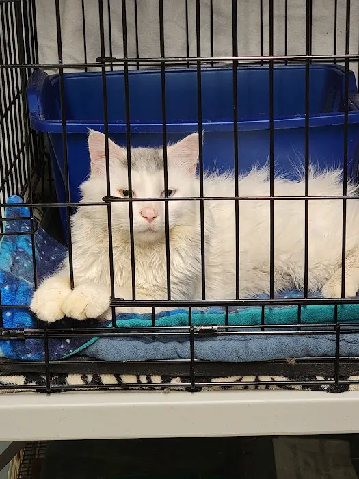 Pet Shield Veterinary Hospital 12