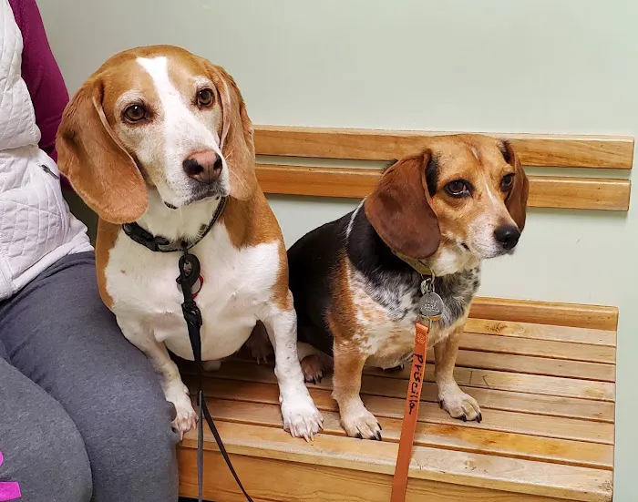 Valley Veterinary Associates 1