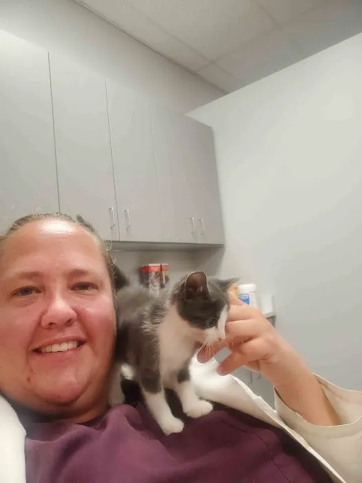Dutton Veterinary Services PLLC 4