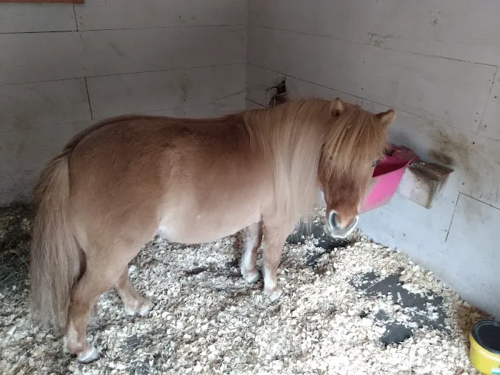 Dutton Veterinary Services PLLC 8
