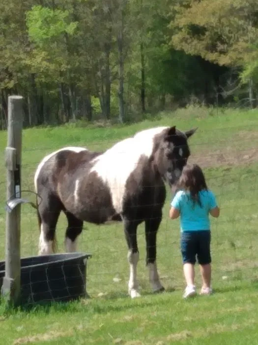 Dutton Veterinary Services PLLC 2